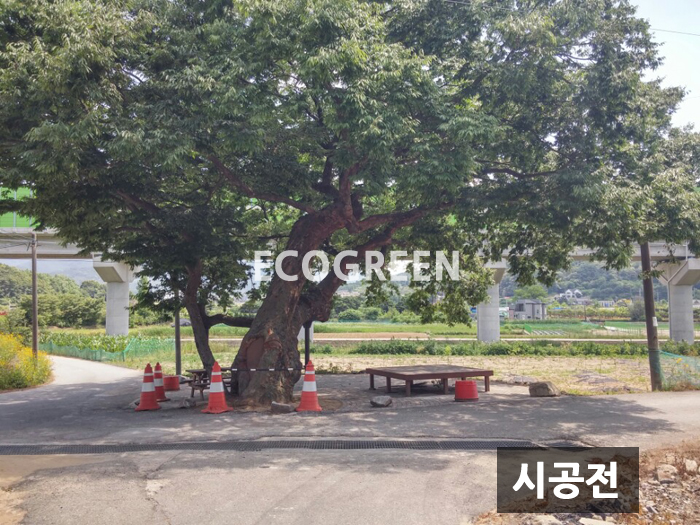 무실동파고라 시공전.jpg