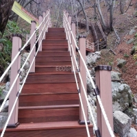 울릉도 산책로 …