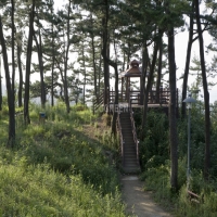 강릉공원수평4…