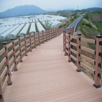 고령자전거도…